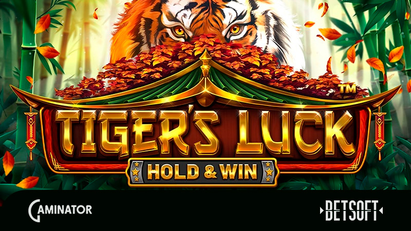 Tiger’s Luck — Hold & Win by Betsoft